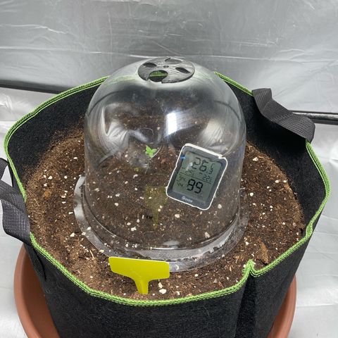 Taproot growlog timeline photo