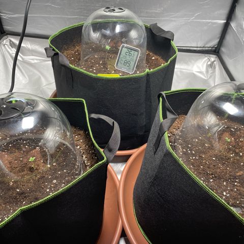 Taproot growlog timeline photo