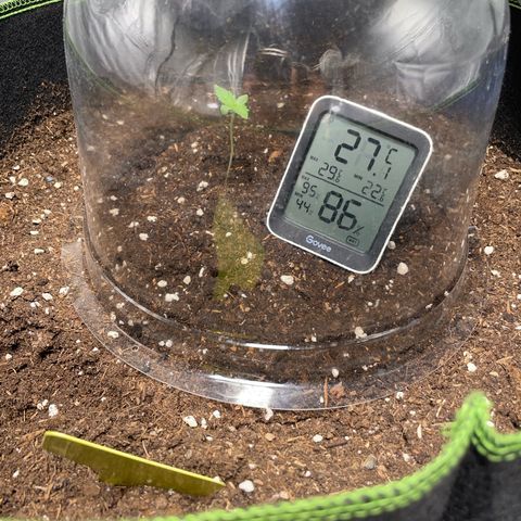Taproot growlog timeline photo