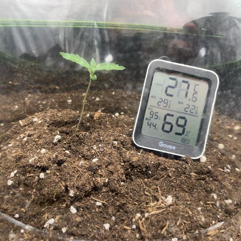 Taproot growlog timeline photo