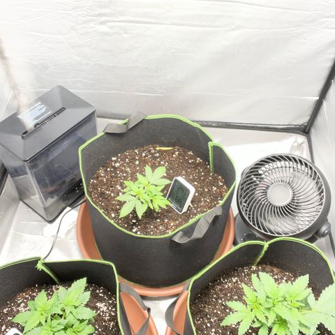 Taproot growlog timeline photo