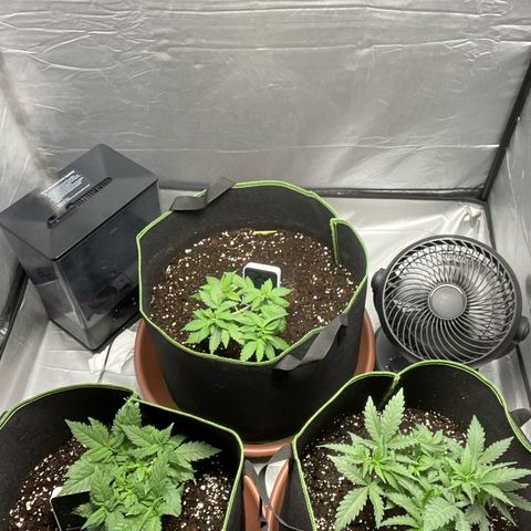 Taproot growlog timeline photo