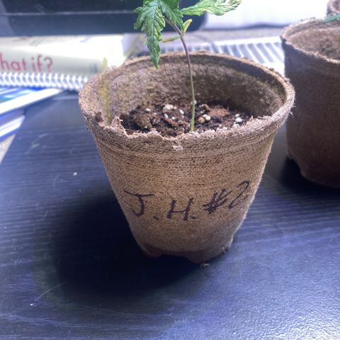 AK47-1 growlog timeline photo