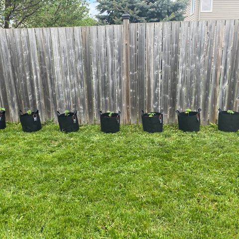 AK47-1 growlog timeline photo