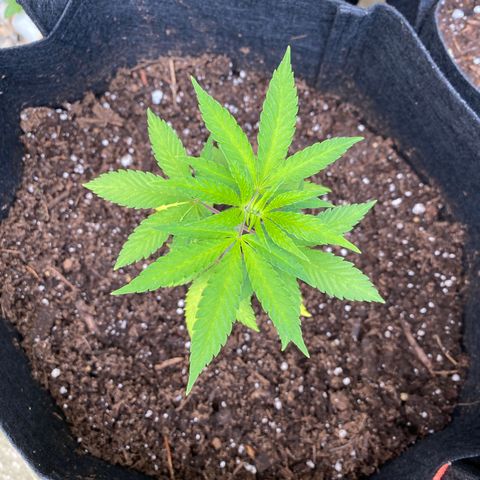 Fucking Increadible-1 growlog timeline photo