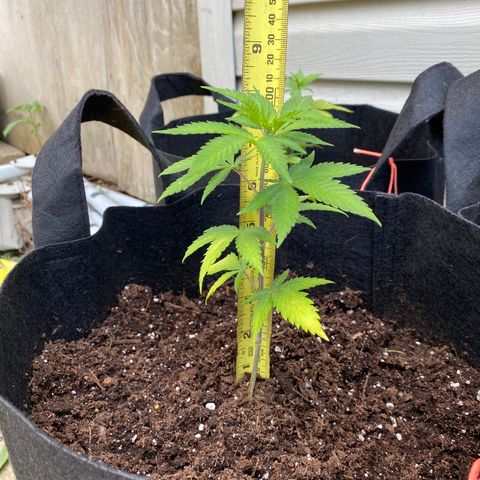 Fucking Increadible-1 growlog timeline photo