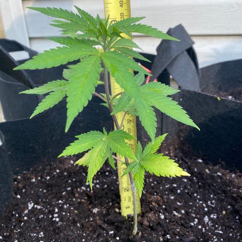 Fucking Increadible-1 growlog timeline photo