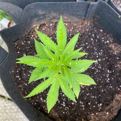 Fucking Increadible-1 growlog timeline photo
