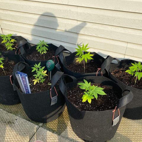AK47-1 growlog timeline photo