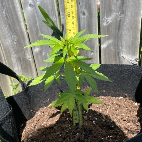 Fucking Increadible-1 growlog timeline photo