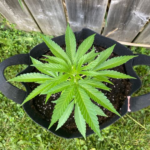 Fucking Increadible-1 growlog timeline photo