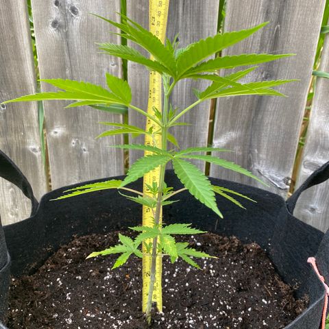 Fucking Increadible-1 growlog timeline photo