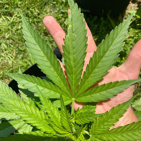 Fucking Increadible-1 growlog timeline photo