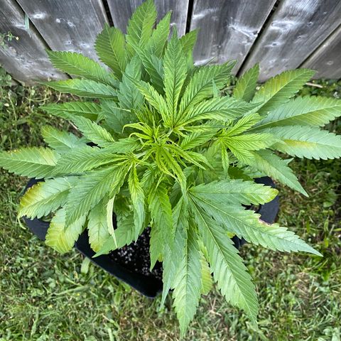 Fucking Increadible-1 growlog timeline photo