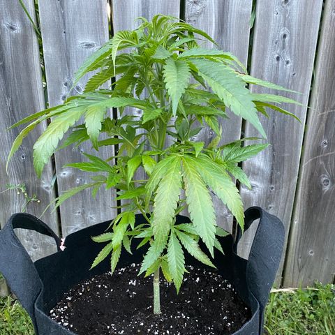Fucking Increadible-1 growlog timeline photo