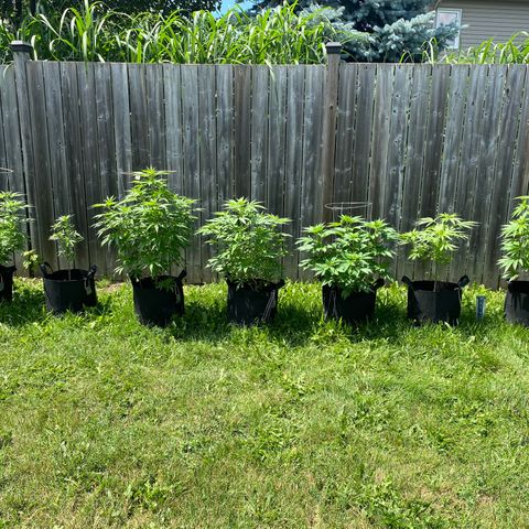 AK47-1 growlog timeline photo