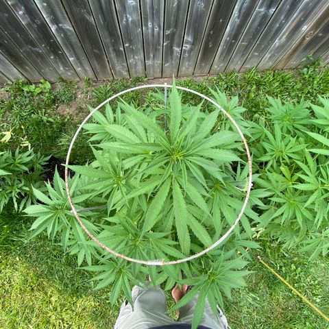 Fucking Increadible-1 growlog timeline photo