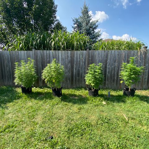Fucking Increadible-1 growlog timeline photo