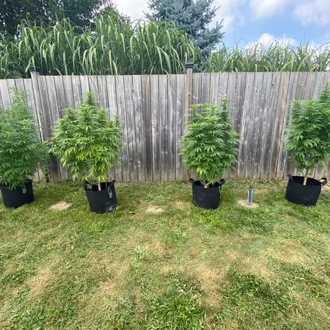 Fucking Increadible-1 growlog timeline photo