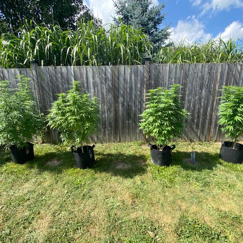 Fucking Increadible-1 growlog timeline photo