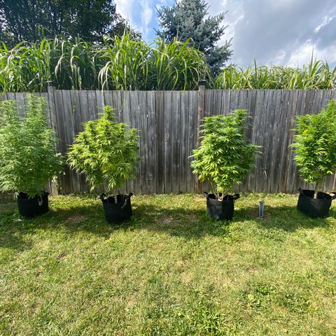 Fucking Increadible-1 growlog timeline photo