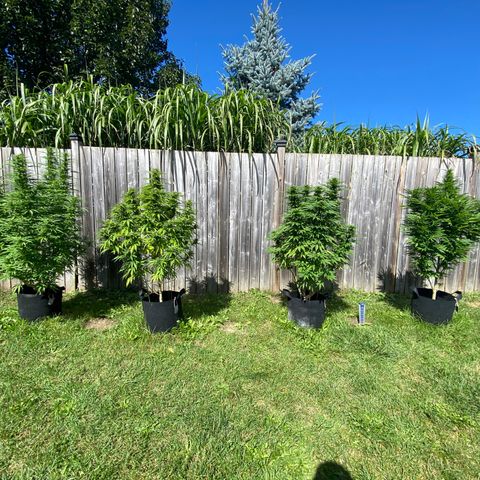 Fucking Increadible-1 growlog timeline photo