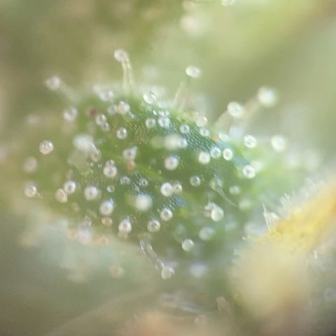 Fucking Increadible-1 growlog timeline photo