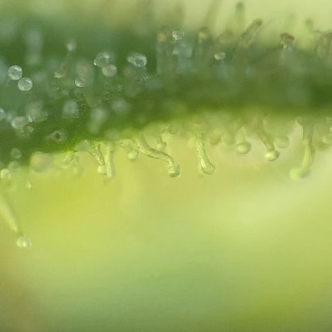 Fucking Increadible-1 growlog timeline photo