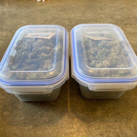 Fucking Increadible-1 growlog timeline photo