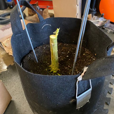 Fucking Increadible-1 growlog timeline photo