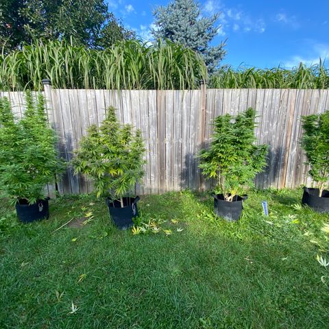 Fucking Increadible-1 growlog timeline photo