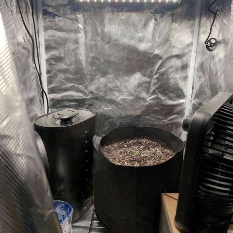 TRIKS by Twenty20 growlog timeline photo