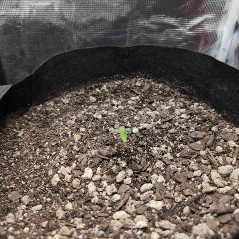 TRIKS by Twenty20 growlog timeline photo