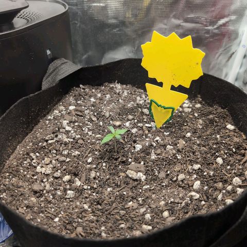 TRIKS by Twenty20 growlog timeline photo