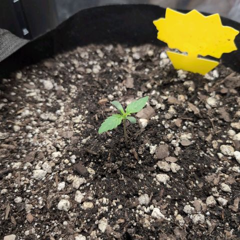 TRIKS by Twenty20 growlog timeline photo