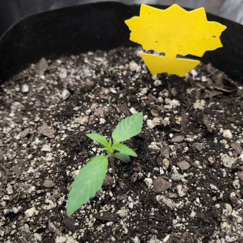 TRIKS by Twenty20 growlog timeline photo