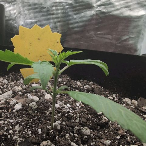 TRIKS by Twenty20 growlog timeline photo