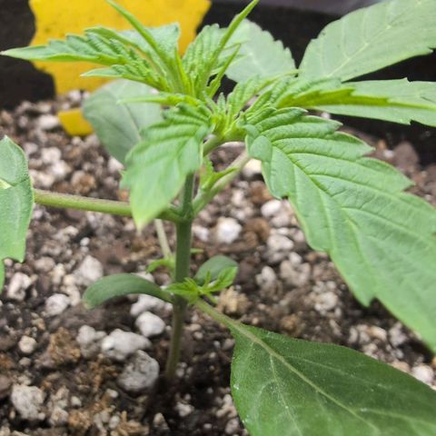 TRIKS by Twenty20 growlog timeline photo