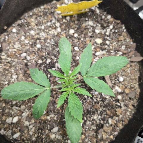 TRIKS by Twenty20 growlog timeline photo