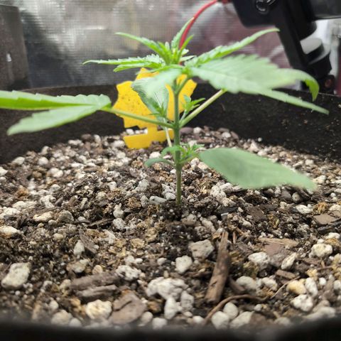TRIKS by Twenty20 growlog timeline photo
