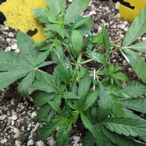 TRIKS by Twenty20 growlog timeline photo
