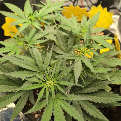 TRIKS by Twenty20 growlog timeline photo