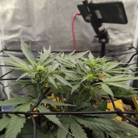 TRIKS by Twenty20 growlog timeline photo