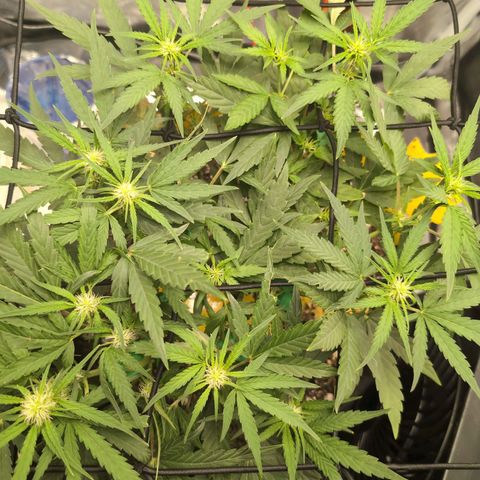TRIKS by Twenty20 growlog timeline photo