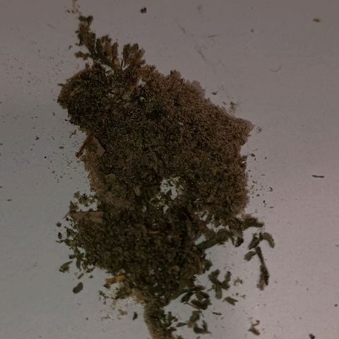 Skunk P4 growlog timeline photo