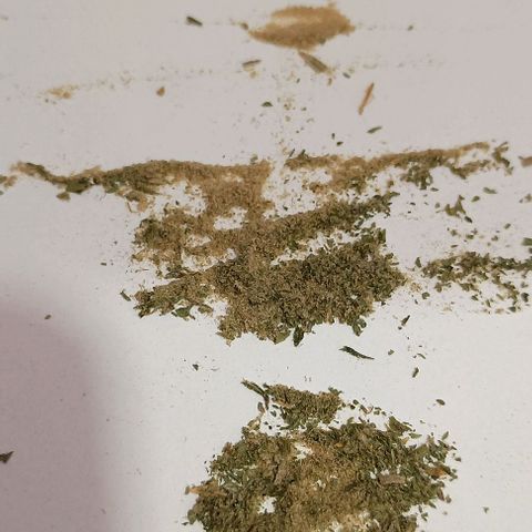 Skunk P4 growlog timeline photo