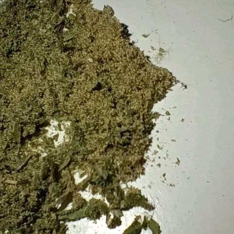 Skunk P4 growlog timeline photo