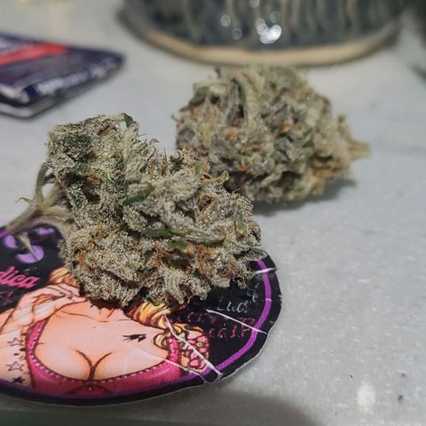 Hazy girl growlog photo: 33g dried