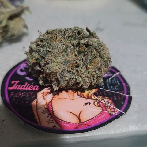 Hazy girl growlog photo: 33g dried