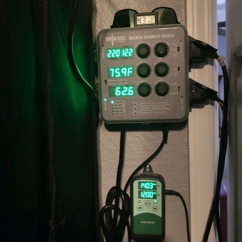 Blimburn Sour Diesel Mother growlog timeline photo